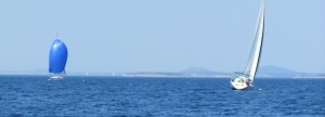 cropped-IMG_02391.jpg