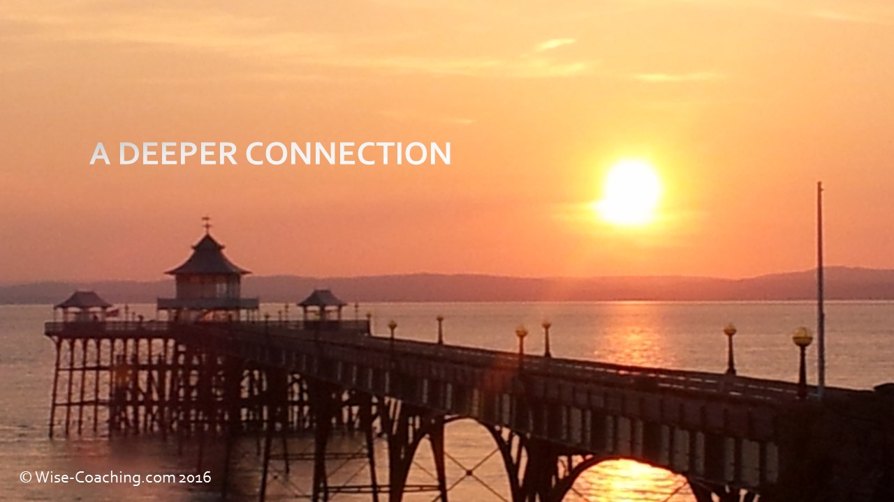 Wisey Insight – A Deeper Connection