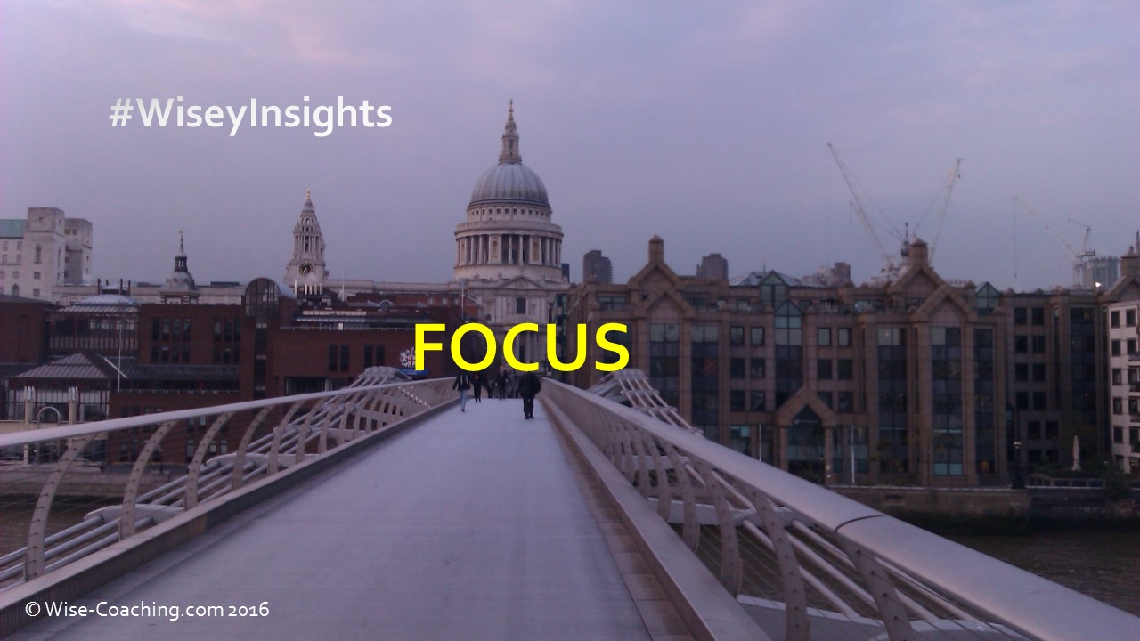 Wisey Insight – Focus