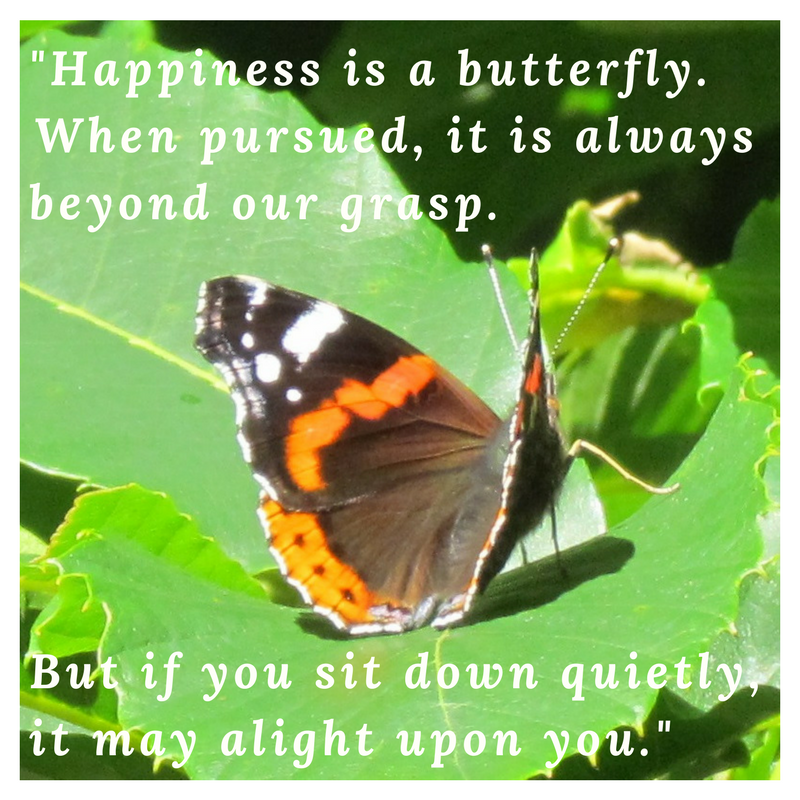 The Search for Happiness